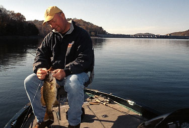 Largemouth Bass Tournament Tested Patterns for Catching Big Bass in Lakes  Rivers  and Resevoirs