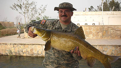 iraq fish