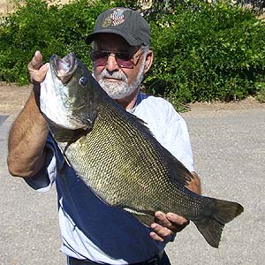 State Record Smallmouth
