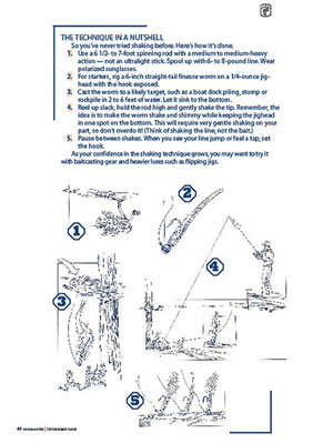 Click here to enlarge picture!