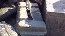 Plano Field Box