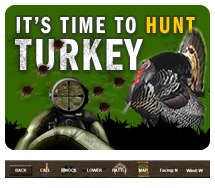 Online Games - Turkey Hunting