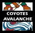 Avs/Coyotes